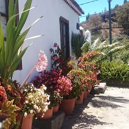 Casitas La Montanita *